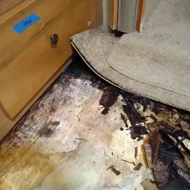 Wood Floor Water Damage in Elburn, IL